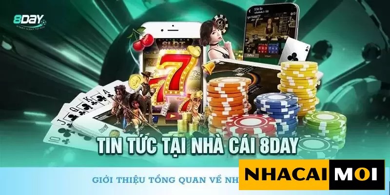 Hỗ trợ điểm truy cập chính Ricwin - Ricwin