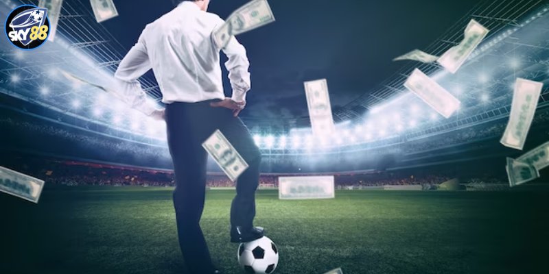 Tại sao nên chọn cá cược đá gà tại Công ty Lucky88 Gaming? - Lucky88