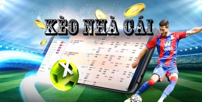 Trang web đặc biệt Gwin Gwin - Gwin