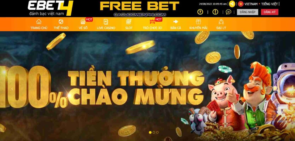 Tại sao nên đặt cược vào các trận đấu bóng đá cấp độ 168Vn? - 168Vn