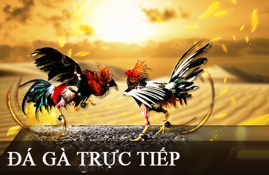 Các sòng bạc trực tuyến được xếp hạng Kuvip cung cấp nhiều lựa chọn trò chơi đa dạng - Kuvip