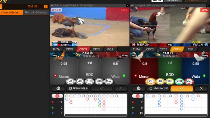 Người dùng mới có thể đăng nhập vào cổng thông tin Fconline Games bằng cách nào? - Fconline