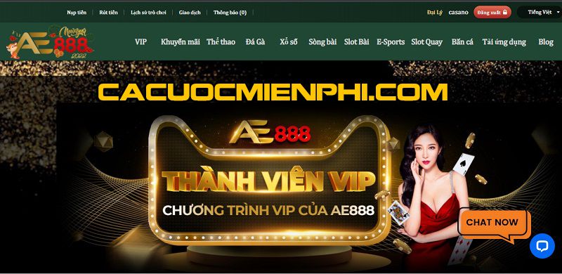 An toàn và độ tin cậy là những ưu tiên hàng đầu của Bancah5 - Bancah5