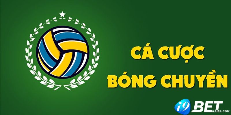 Dịch vụ toàn diện đạt chuẩn 88Nn - 88Nn