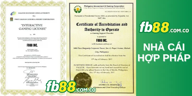 Những người chơi giàu kinh nghiệm chia sẻ mẹo chơi các trò chơi bài cấp độ Tk88 - Tk88