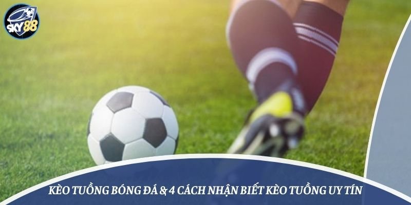 Sự đa dạng và chất lượng của các trò chơi cấp Re88 - Re88