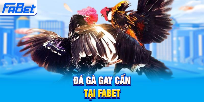V7bet có rất nhiều hoạt động quảng bá - V7bet