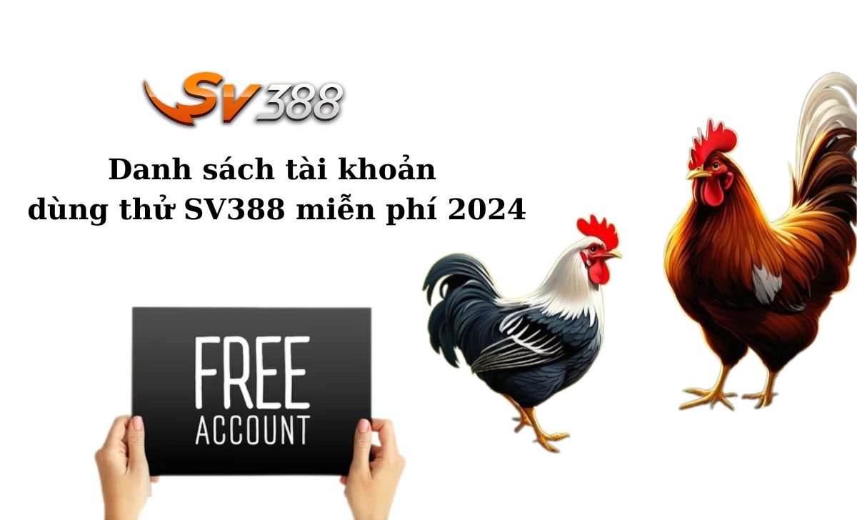 Vn88 VIP 2026 – 5 cấp độ độc quyền, nhận hoàn tiền lên đến 15% - Vn88